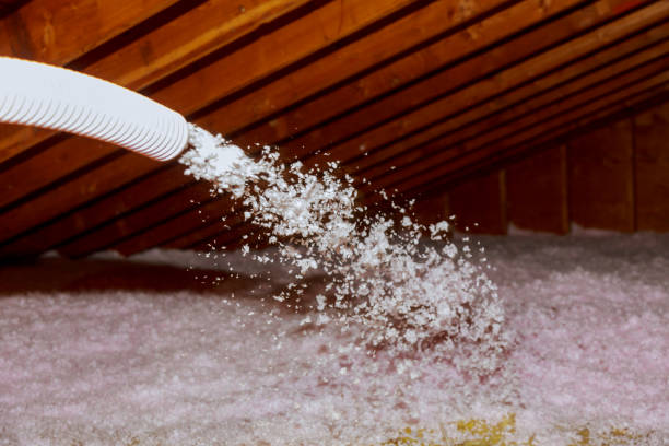 Best Geographic-Specific Insulation Services in Rincon, GA