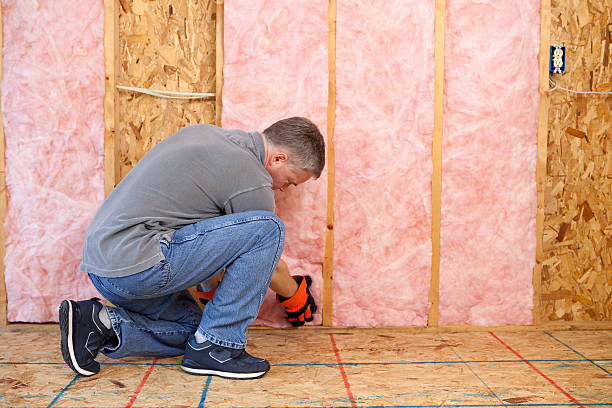 Professional Insulation Contractor in Rincon, GA